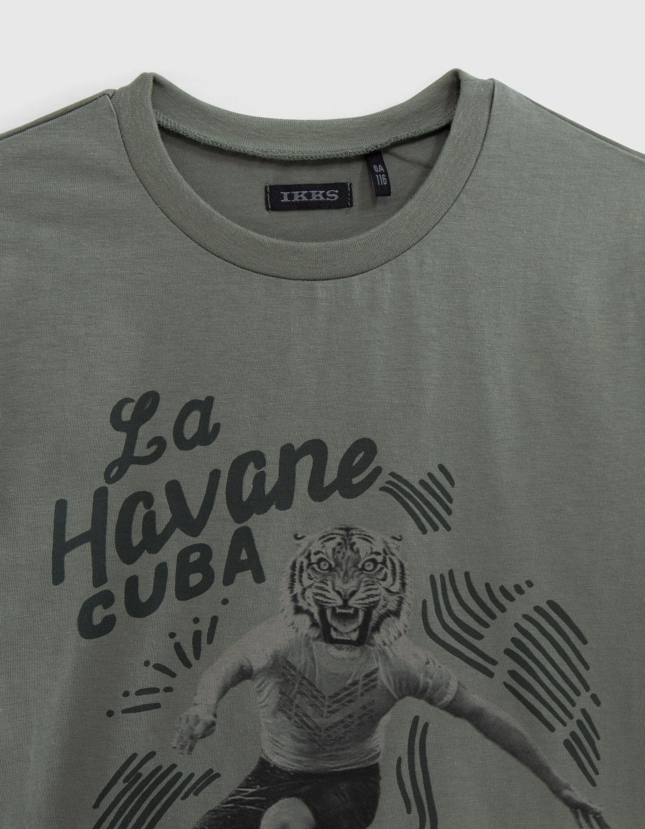 T-shirt kaki visuel tigre-surfeur garçon